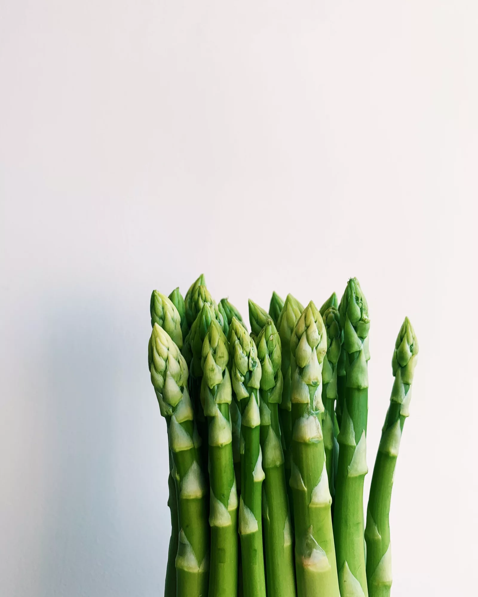 How to Grow Asparagus