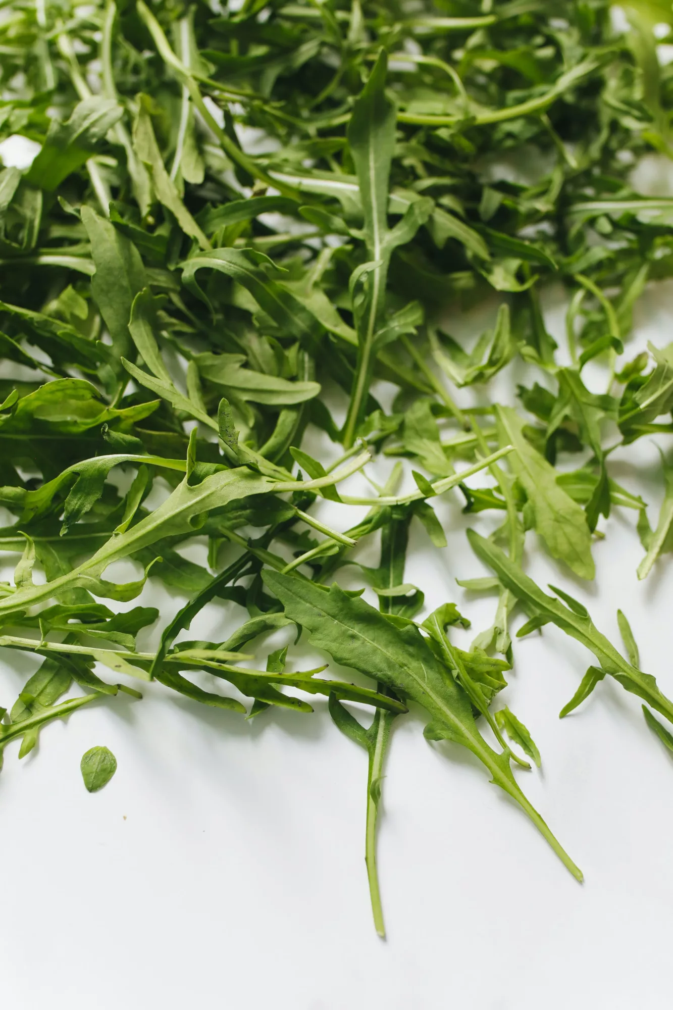 How to Grow Arugula